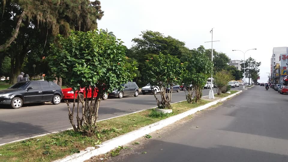 projeto-embeleze-livramento-revitaliza-entorno-do-parque-internacional