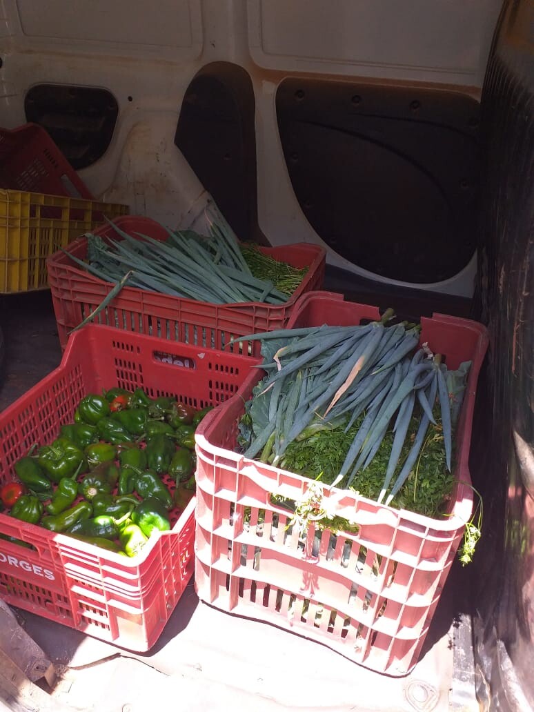 instituicoes-socioassistenciais-recebem-produtos-da-granja-municipal