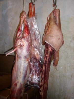 vigilancia-sanitaria-realiza-operacao-em-conjunto-com-a-brigada-militar-e-apreende-produtos-clandestinos