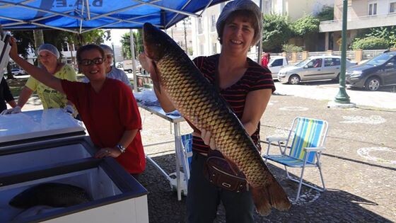 feira-do-peixe-encerra-com-sucesso-de-vendas