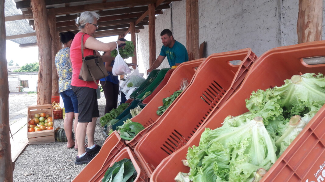 feira-da-agricultura-familiar-agroindustria-e-economia-solidaria-e-um-sucesso