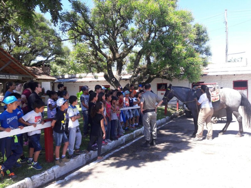 gabinete-acao-solidaria-promove-passeio-para-criancas-do-projeto-escola-viva