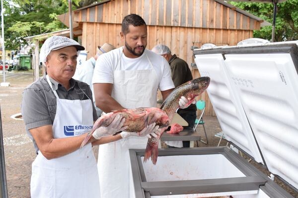 mais-de-1500-kg-sao-comercializados-na-feria-do-peixe